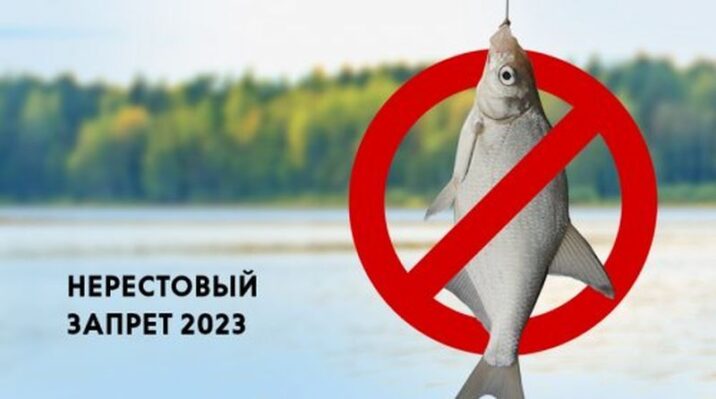 Жителям Рузского городского округа – о запрете ловли рыб Новости Рузы 