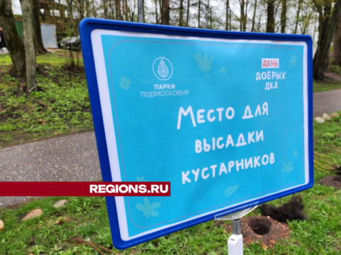Акция «День добрых дел» прошла в Рузском округе Новости Рузы 