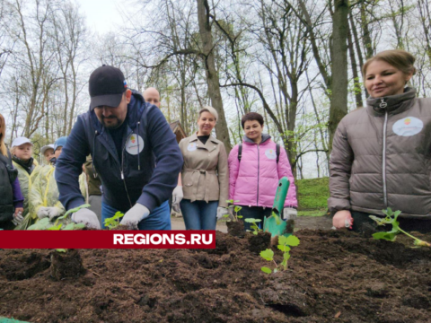 Общественный огород открылся в Рузе в «День добрых дел» Новости Рузы 