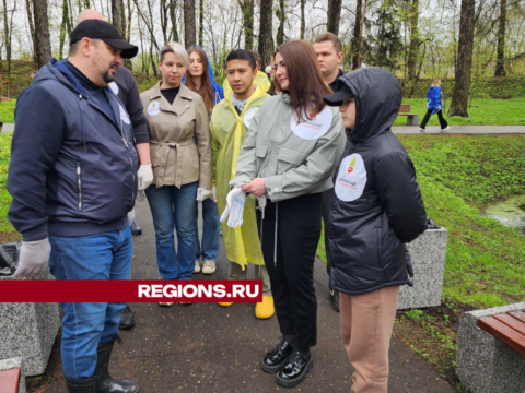 В «День добрых дел» семья военнослужащего СВО из Рузы высадила клены Новости Рузы 