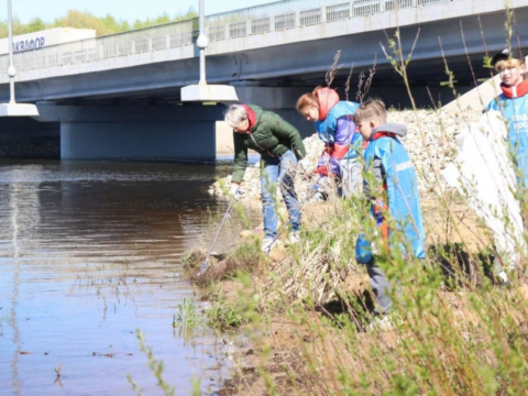 Экоактивисты в Рузе собрали 27 кубометров отходов вдоль берега реки Вейны Новости Рузы 