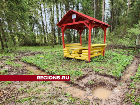 В лесах Симбуховского лесничества Рузского округа установят фотоловушки Новости Рузы 