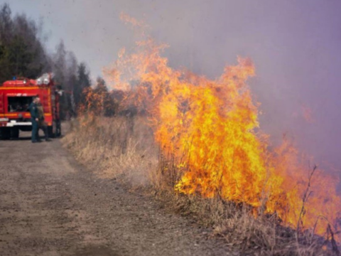 Жителям Рузы напомнили о действии противопожарного режима и безопасном отдыхе на природе Новости Рузы 